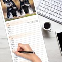 Schnauzer Kalender 2026 Slimline - thumbnail