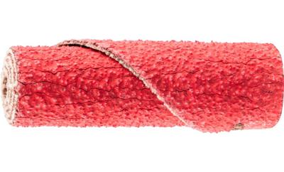 PFERD TOOLS PR 1235 CO-COOL 80 42811348 Schuurpapierrol Korrelgrootte (num) 80 (Ø x h) 12 mm x 35 mm 50 stuk(s)