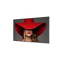 Monitor Videowall Philips D-LINE 50" LCD - thumbnail