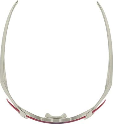 Olympic Sportswear Alpina sports sportbril hawkeye qv grijs