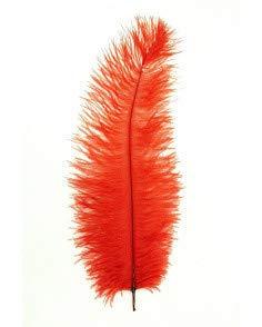 Floss veer rood