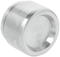 Zuiger, remklauw D025318 - thumbnail