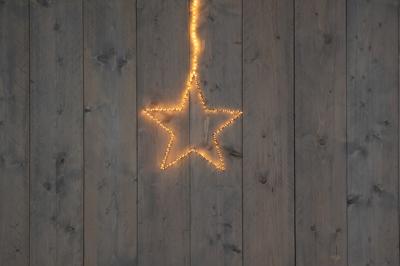 37Cm Ster Zwart 200Led Classic Warm 50Cm Verlicht Snoer - 4,5M Aanloopsnoer - On / Dimmer / 8/16H Timer / Off Ip44 Trafo kerstverlichting Anna's Collection - Annas collection