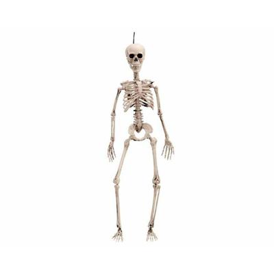 Halloween Decoraties My Other Me 120 cm Skelet Halloween Decoraties My Other Me 120 cm Skelet