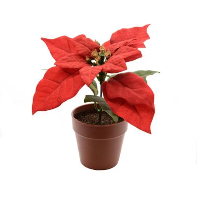 Poinsettia zijde pot d16h14 cm kerstrood kerst Decoris - Decoris Poinsettia zijde pot d16h14 cm kerstrood kerst Decoris - Decoris