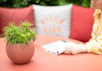 Capi Bloempot Vaas Bol Groove Groen Ø13cm - thumbnail