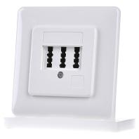 Rutenbeck TAE 2x6/6NFF Up rw Telefoonaansluitdoos Inbouw (in muur) Wit