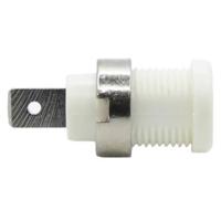 Mueller Electric BU-31610-9 Banaanbus Bus Stift-Ø: 6.4 mm Wit 1 stuk(s) - thumbnail