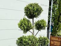 Winterhoes MAMMUT - 360x250 cm - thumbnail