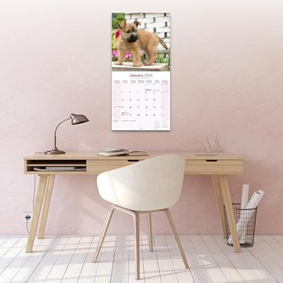 Cairn Terrier Calendar 2026 Square Dog Breed Wall Calendar - 16 Month