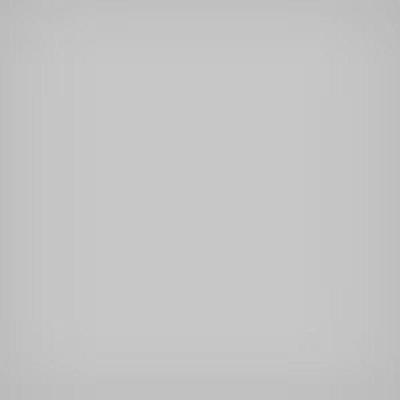 LEE Filters .3ND 100x100mm Un 2mm th.