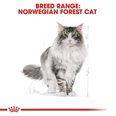 Royal Canin Adult Noorse Boskat kattenvoer 2 x 2 kg - thumbnail