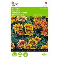 Gazania Sunshine gemengd - thumbnail