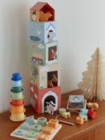 Ontdekkingsset: FIJNE MOTORIEK, EVENWICHT EN EERSTE REDENERINGEN van FSC®-hout meerkleurig - thumbnail