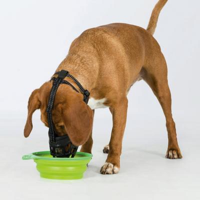 TRIXIE MUILKORF MUZZLE FLEX SILICONE ZWART XL 37X39 CM - thumbnail