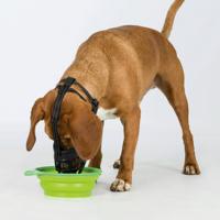 Muilkorf Trixie Zwart XL - thumbnail