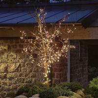 Konstsmide 2366-003 Micro-lichtketting Buiten werkt op het lichtnet Aantal lampen 80 Gloeilamp Helder Verlichte lengte: 3.95 m - thumbnail