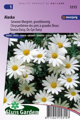 Gewone Margriet grootbloemig bloemzaden - Alaska Gewone Margriet grootbloemig bloemzaden - Alaska