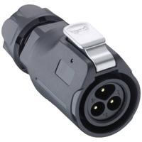 Lutronic 2450 03 T09CB T Ronde connector Stekker, recht 1 stuk(s) - thumbnail