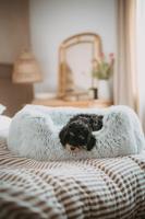 Hondenbed Hunter Wit 80 x 60 cm - thumbnail