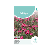 Zaden Dianthus Steenanjer Karmijnrose Hortitops - Hortitops - thumbnail