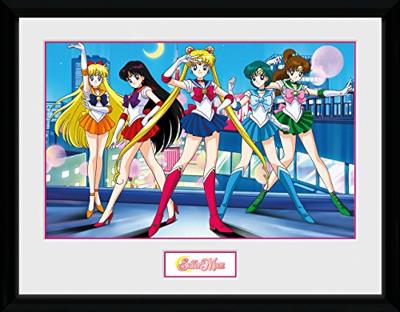 Sailor Moon Framed Print - Group (30x40cm)