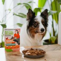 ANIMAL ISLAND Everyday Monoprotein Duck - natvoer voor honden - 9x300g - thumbnail