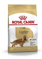 ROYAL CANIN Adult Cocker - droog hondenvoer - 12 kg - thumbnail