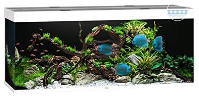 Juwel aquarium Rio 450 LED met filter wit Juwel Gebr. de Boon - Gebr de boon
