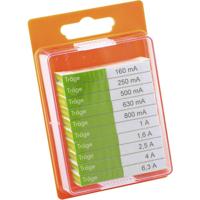 ESKA 12208 Buiszekering assortiment (Ø x l) 5 mm x 20 mm Traag -T- Inhoud 100 stuk(s) - thumbnail