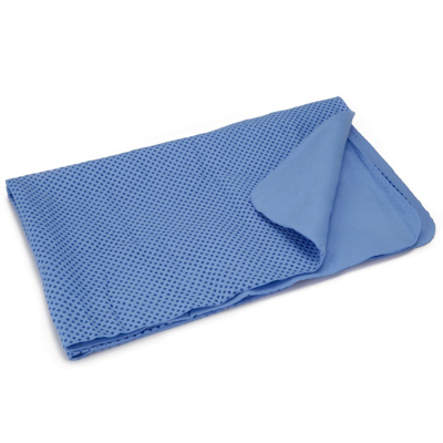 BZ ABSORB DROOGHANDDOEK V HOND BLW