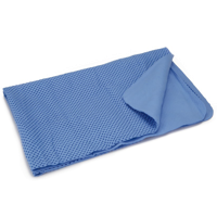 BZ ABSORB DROOGHANDDOEK V HOND BLW - thumbnail