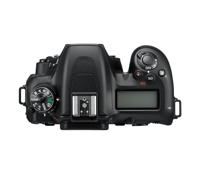 Nikon D7500 + AF-S 18-140mm VR - thumbnail