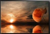 Schilderij met Frame -Strand en een rode Bloem, 120x80cm, 1 Luik - thumbnail