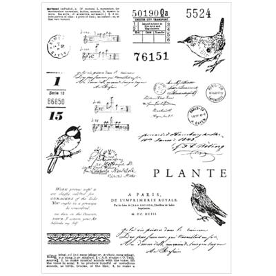 Sizzix • clear stamp set a5 with framelits die bird song 28pcs