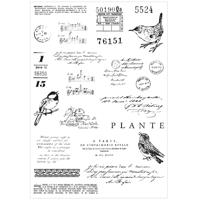Sizzix • clear stamp set a5 with framelits die bird song 28pcs - thumbnail