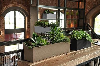 LECHUZA Jardiniere BALCONERA Stone 80 ALL-IN-ONE Beige
