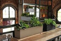 LECHUZA BALCONERA Plantenpot Vrijstaand Polypropyleen (PP) Beige Binnen/buiten - thumbnail