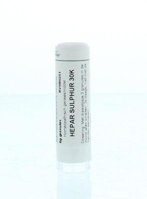 Homeoden Heel Hepar Sulphur 30K 6 Gram