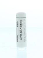 Homeoden Heel Hepar Sulphur 30K 6 Gram - thumbnail
