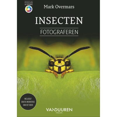 VDM Focus op fotografie; Insecten fotograferen