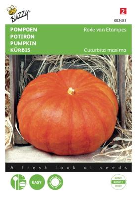 Zaden Pompoen Rode van Etampes Buzzy - Buzzy