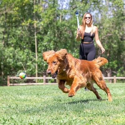 Chuckit! Eco Fetch Launcher + Ball