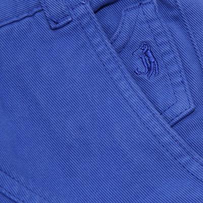 Callistemon - struik - hoogte 60 cm Callistemon - struik - hoogte 60 cm