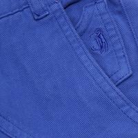 Callistemon - struik - hoogte 60 cm - thumbnail