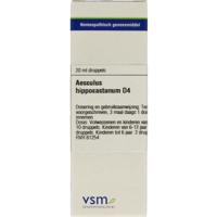 VSM Aesculus hippocastanum D4 (20 ml) - thumbnail