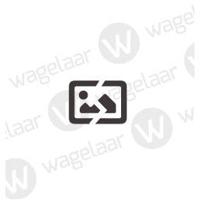 Lamphaak Kroonbevestiging Zink | P10 - thumbnail