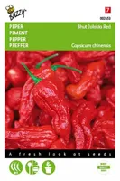 Zaden Peper Bhut Jolokia Red Buzzy - Buzzy - thumbnail