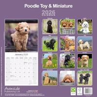 Poodle (Toy & Miniature) Calendar 2026 Square Dog Breed Wall Calendar - 16 Month - thumbnail