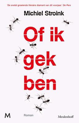 Of ik gek ben - Michiel Stroink - ebook